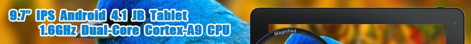 9.7 inch Android Tablet Computer Dual Core CPU IPS Display