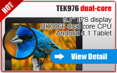 9.7 inch IPS tablet Android 4.1 Dual Core CPU Computer
